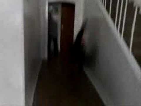 Stolarzowice Le Parkour 2007