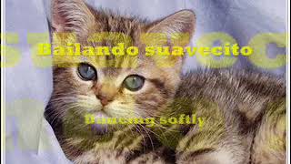 Lyrics/Letra of Mas De Ti by Notch