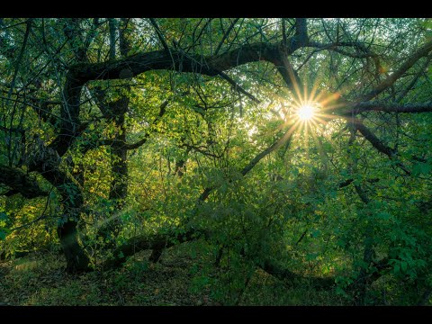 Hungarian adventures 2019 - Autumn in Budapest, 02-16/10/2019