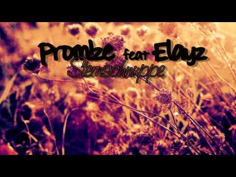 Roy Krause & Elayz - Sternschnuppe :)