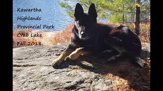 preview picture of video 'Kawartha Highlands - Crab Lake 2 nights in October 2018'