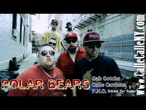 Polar Bears - Gab Gotcha feat. Calle Cardona & P.N.O Tres Coronas- Video Official -