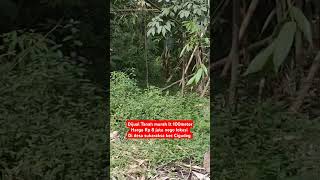 Download lagu dijual Tanah murah 7 juta net di Bogor mp3