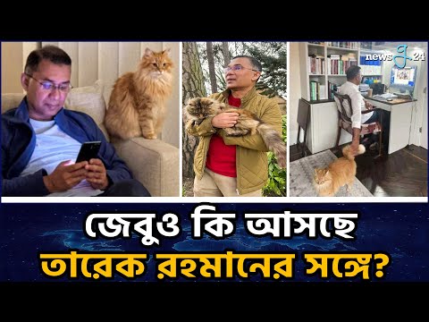 তারেক রহমানের সাথে দেশে ফিরছে আদরের পোষা বিড়াল ‘জেবু’ | Tarique Rahman Cat News