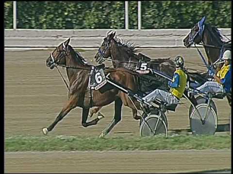 Trotto 30/09/2016 - 2ª corsa