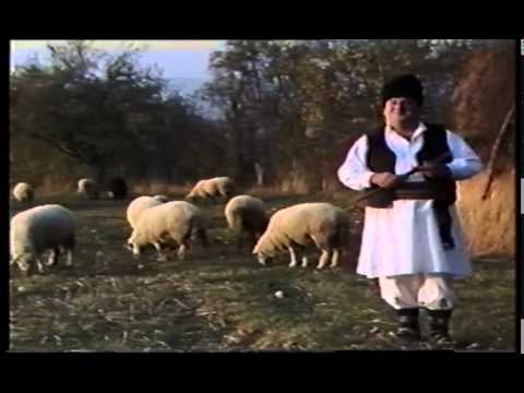 Stanisa Paunovic Mult mi Drag de Primovara Vlaska Pesma