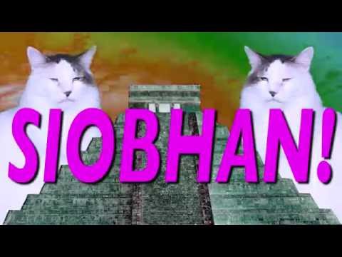 ¡FELIZ CUMPLEAÑOS SIOBHAN! Canción Comica de Cumpleaños