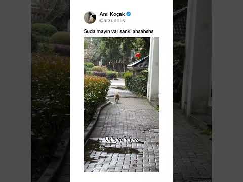 Hareketlere bak yorumlar sizde ahshdd