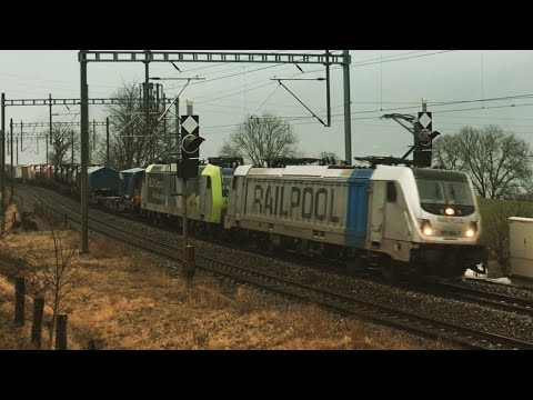 [FR/DE] Trafic ferroviaire/Bahnverkehr Einigen - 21.01.2018 - Transports Publics Suisses