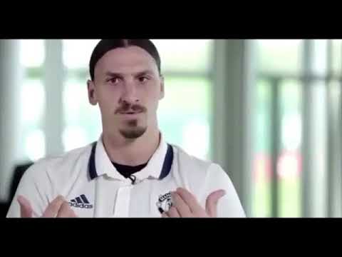 Lion don’t compare with humans hahahhahah