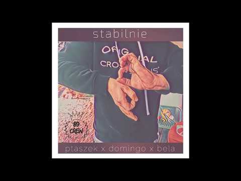 ptaszek x domingo x bela - stabilnie