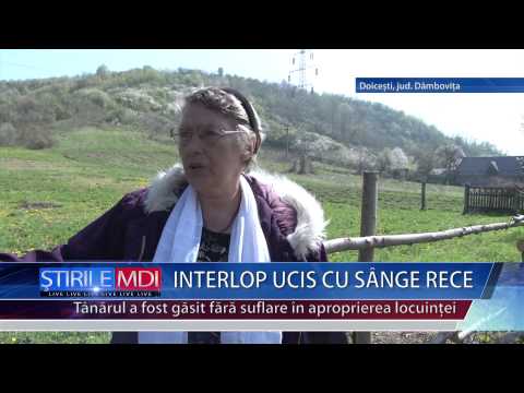 Interlop ucis cu sange rece - MDI TV