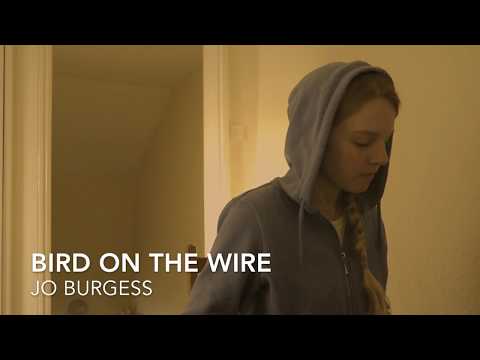 Bird On The Wire - Jo Burgess (cover)