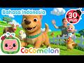 Bingo Versi Peternakan CoComelon Kartun Dan Lagu Anak Moonbug Kids Indonesia Nursery Rhyme