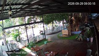 Banyan Food Market 🔴 Koh Samui | Thailand | Live Street cam live webcam