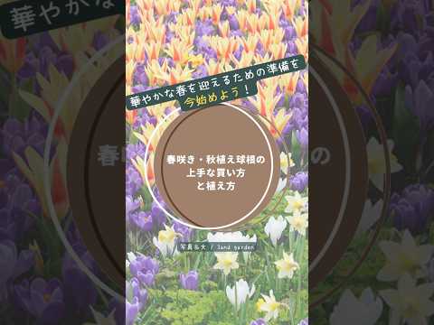 秋に植える球根はどれですか?春の庭を彩る6つの花たち！  庭園
