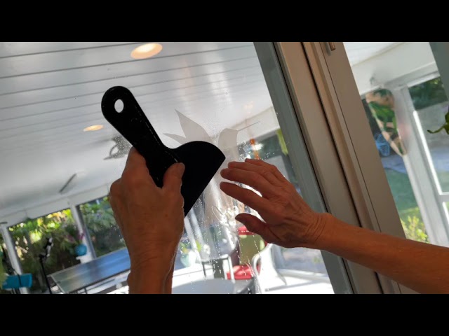 Vídeo relacionado con Pegatinas para ventana con diseño de siluetas de pájaros y siluetas para proteger la puerta de cristal y ahorrar pájaros,12 PCS (Claro)
