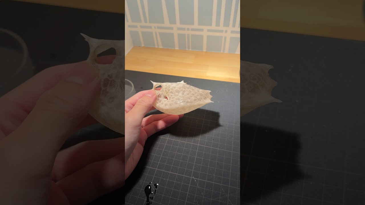 ハコフグ標本の作り方#いのししの人 #骨格標本