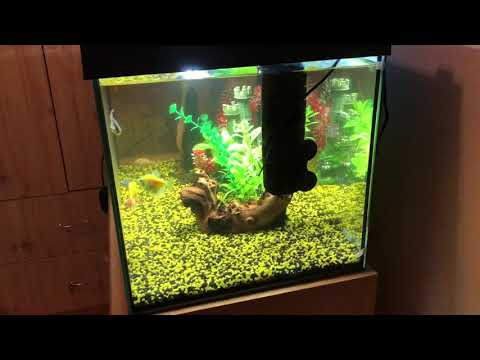 Aquarium Leddy Day&Night Set Up