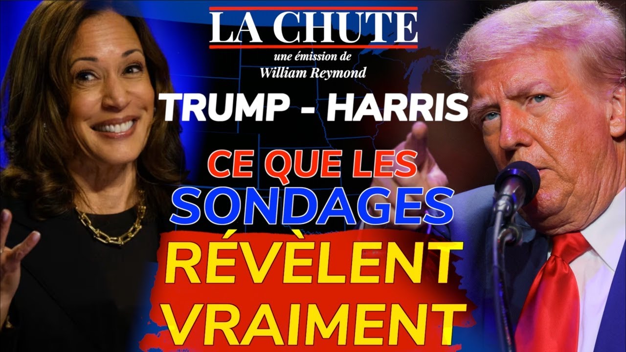Trump - Harris : ce que les SONDAGES révèlent VRAIMENT | La Chute