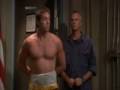 Stargate Fun