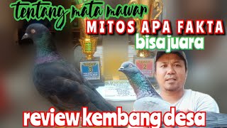 Download lagu TENTANG MATA MAWAR APAKAH BISA JUARA,REVIEW PLAYER KEMBANG DESA TIM MERPATI NUSANTARA mp3