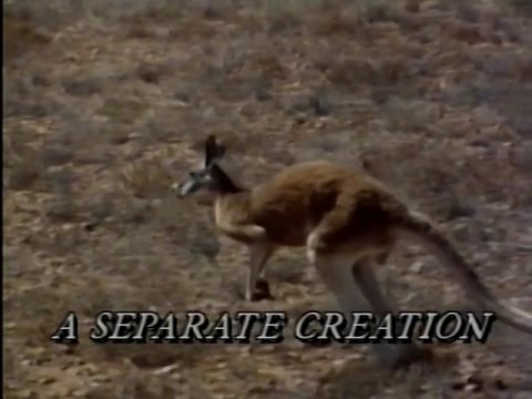 Nature of Australia (Part 1) A Separate Creation (1988)