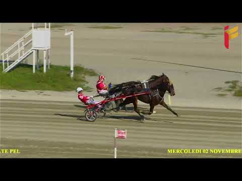 Prova di qualifica del 2 novembre 2022 - 2 Anni - Metri 2000