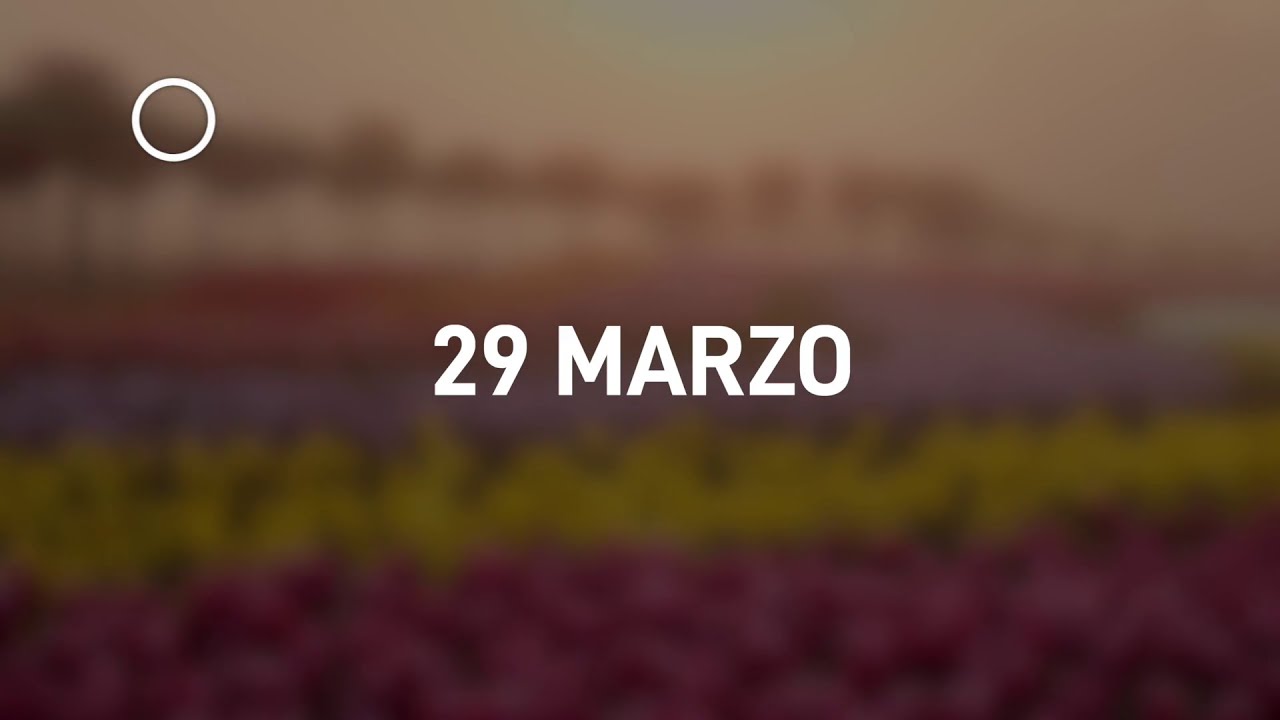 29 Marzo 2024 | Meditazione Parole di Vita