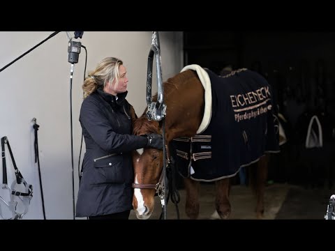 Au Backe 😰 Jackpot muss sediert werden - Tierarzt hat alle Hände voll zu tun