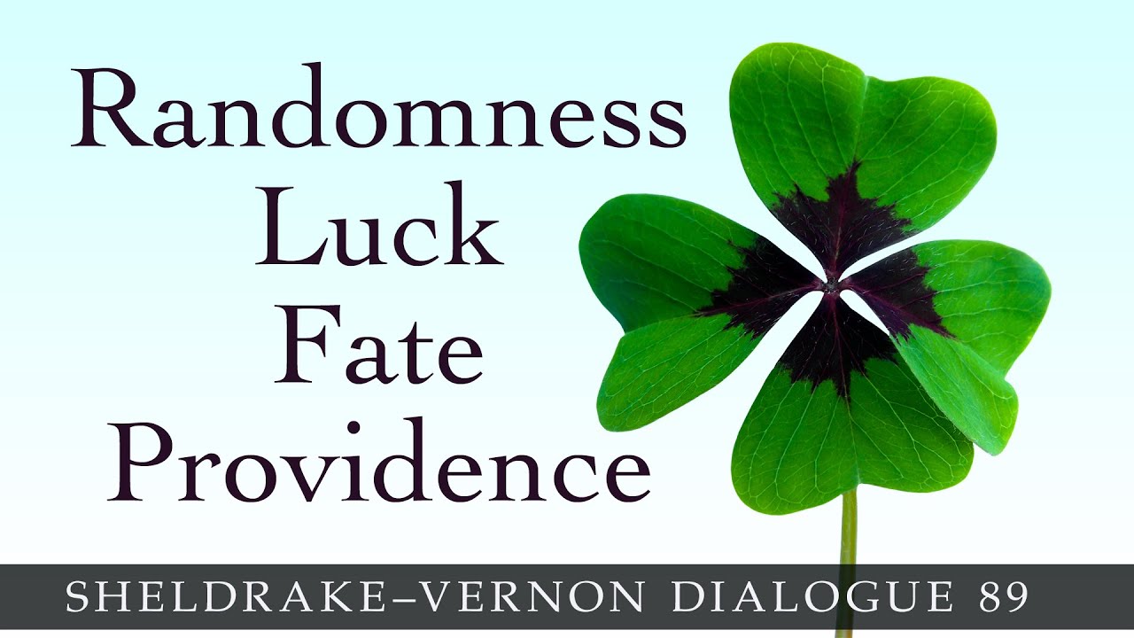 Randomness and Indeterminism: Sheldrake-Vernon Dialogue 89