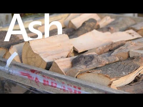 Burning mango firewood, 100% moisture free