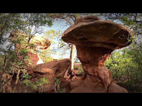Seven Secrets Inside Garden of the Gods, Colorado Springs #coloradosprings #gardenofthegods