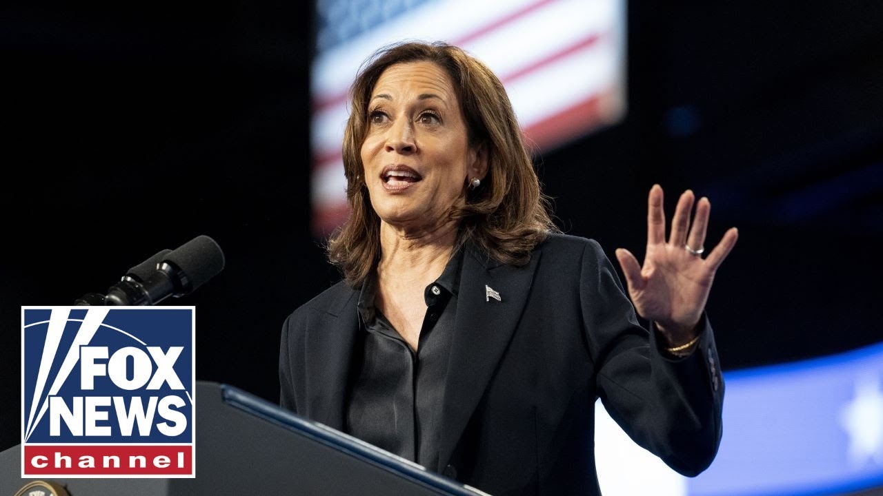 Dem fundraiser RIPS party's Kamala Harris 'delusions’: ‘Not what America wants’