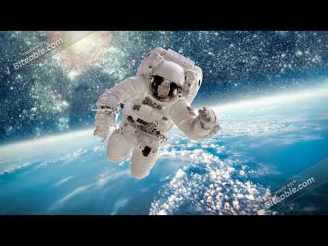 StayFryd - Insomniac - Neon NightLife