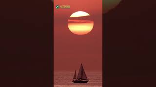 Download lagu JAGA WITIR SEBELUM TIDUR // SYEKH ALI JABER Rahimahullah mp3 Download lagu JAGA WITIR SEBELUM TIDUR // SYEKH ALI JABER Rahimahullah mp3