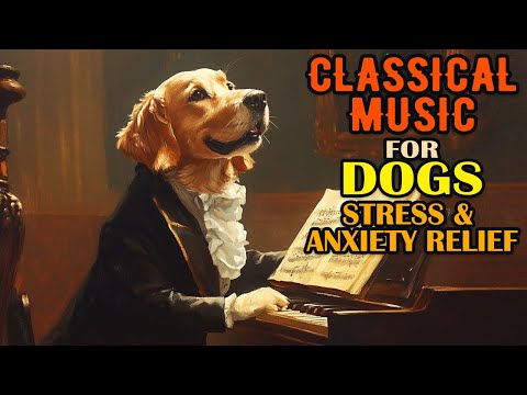 Music for Dogs - Classical Music for Dogs - Stress & Anxiety Relief