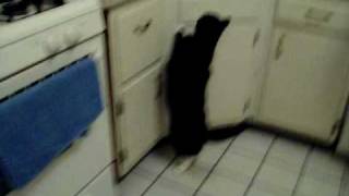 Если долго мучиться