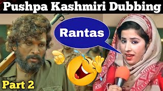 Srand/pushpa movie funny Kashmiri Dubbing video/part 2/Kashmiri rounders