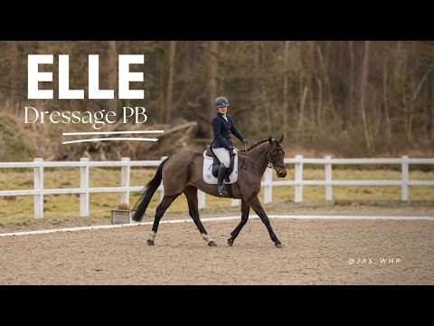 Lexington Bullet | PB scores at Intro