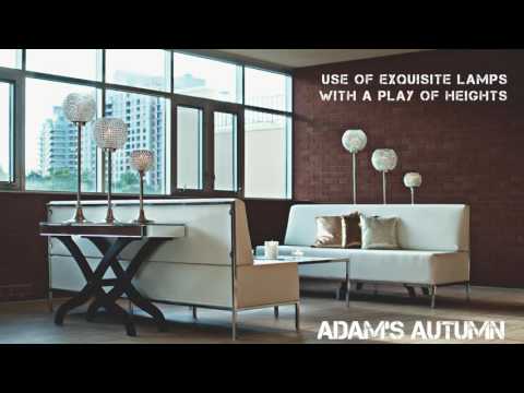 1 Adam's Autumn | LOTD | Hashtag Design