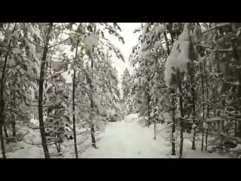 aamupäivän ulkoilu osa3