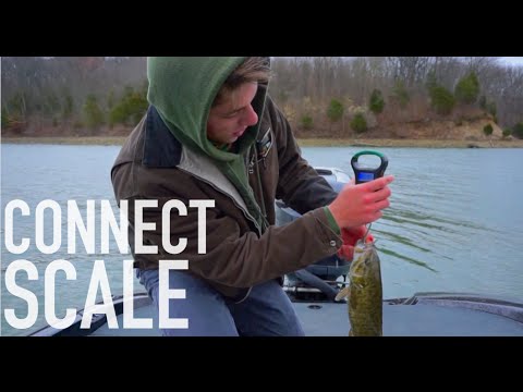 ConnectScale Bluetooth® Smart Digital Scale and Fishing App