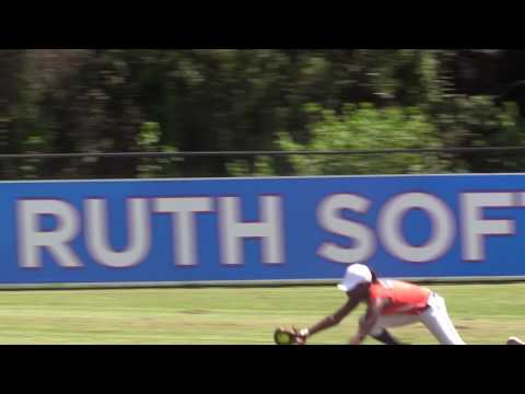 Dreanna Neal College Skills