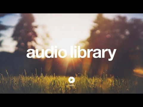 The Engagement – Silent Partner (No Copyright Music)