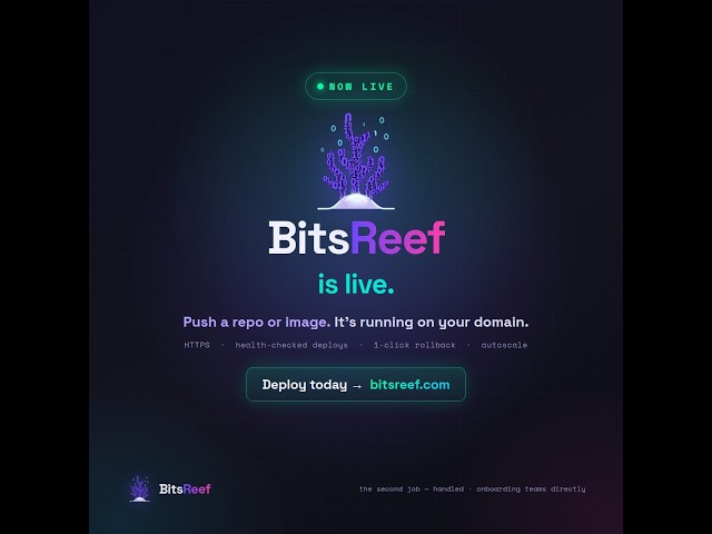 BitsReef demo video thumbnail