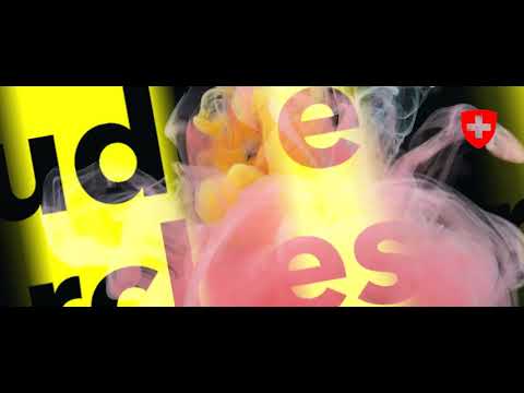 F.I.M. - forum improvisierender musiker frankfurt/schweiz