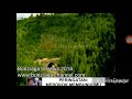Iklan Djarum 76 Versi Cengkeh Dan Tembakau 5sec Metrotv 2003