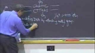 Lec 15 | MIT 7.012 Introduction to Biology, Fall 2004