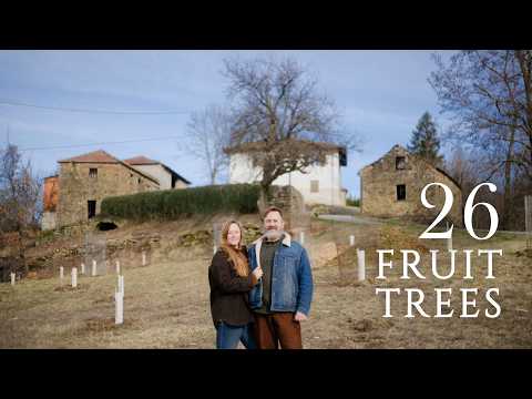 Starting an Orchard on an Overgrown Field in Italy